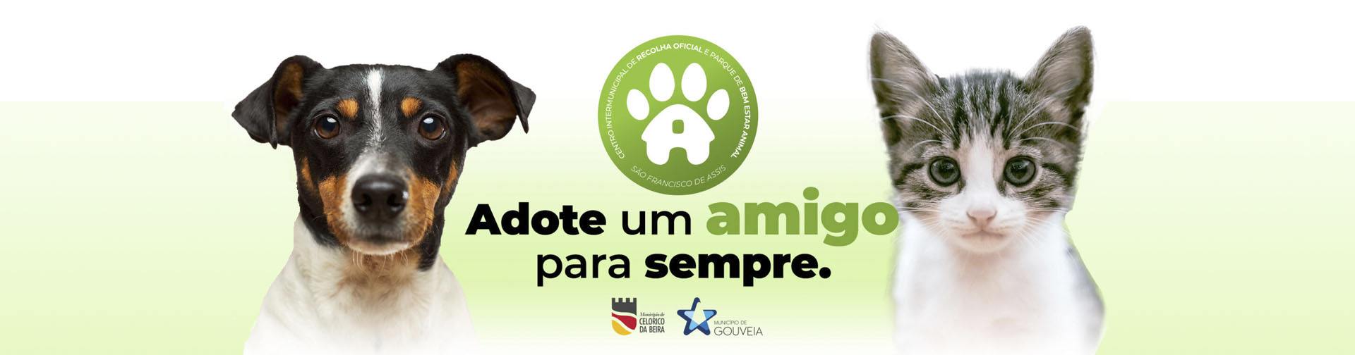 Cão e gato com texto sobre adoção e logotipo de pata verde
