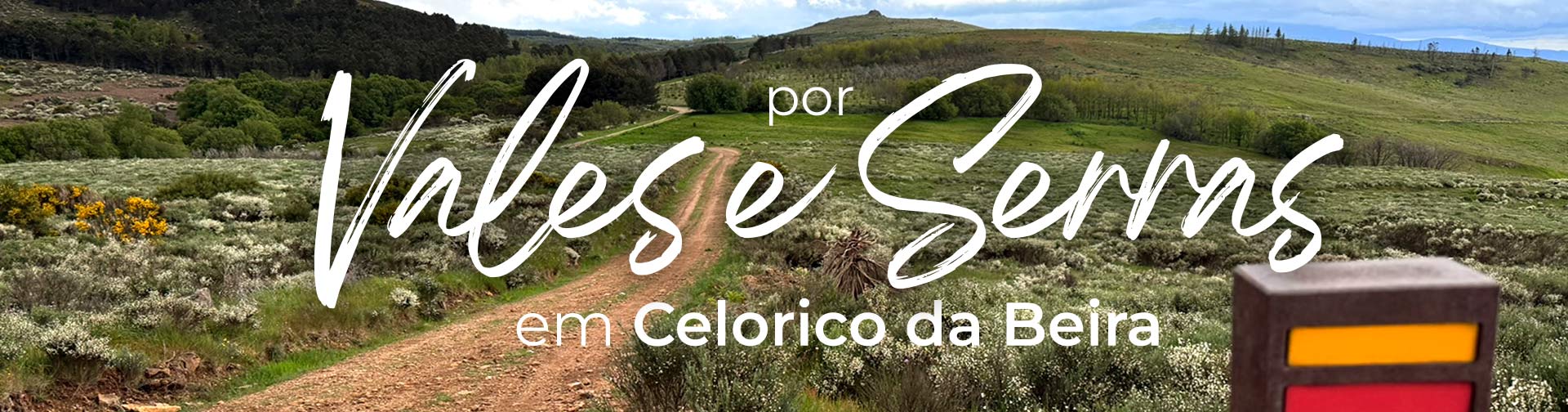 Paisagem montanhosa com vales, colinas verdes e vegetação, Celorico da Beira